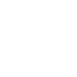 Ford Logo