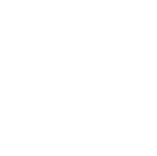 Honda Logo W
