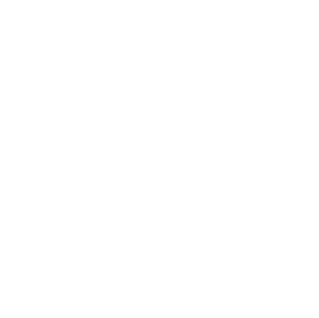 Toyota Logo